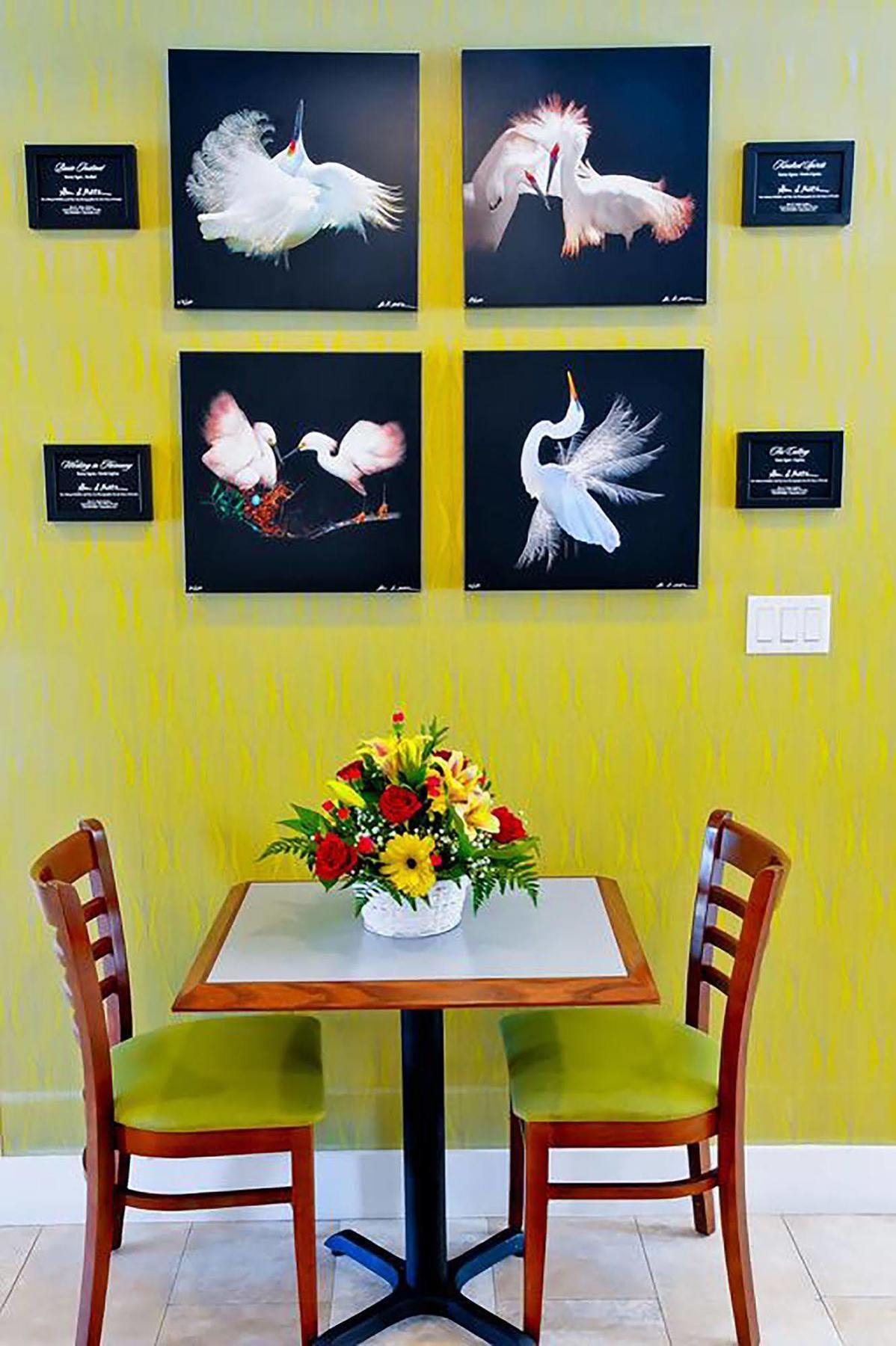 Silver Palms Inn Key West Ngoại thất bức ảnh